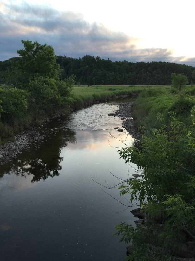 Photo 2015-07-23, 6 19 13 AM