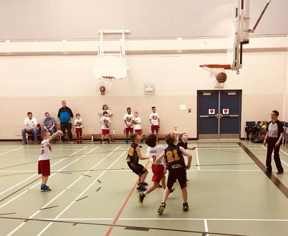 31144011_10160372702535444_7414512964910186496_n