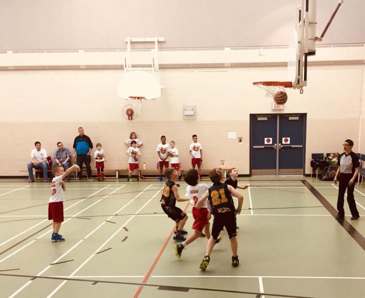 31144011_10160372702535444_7414512964910186496_n